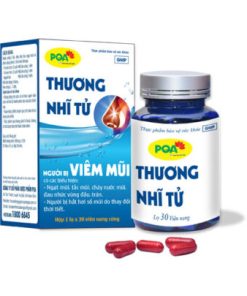 PQA Thương Nhĩ Tử