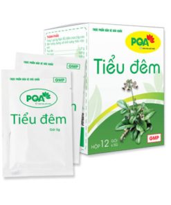 PQA Tiểu Đêm